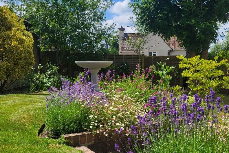 A wildlfe haven, the new planting attracting lots pollinators and birds