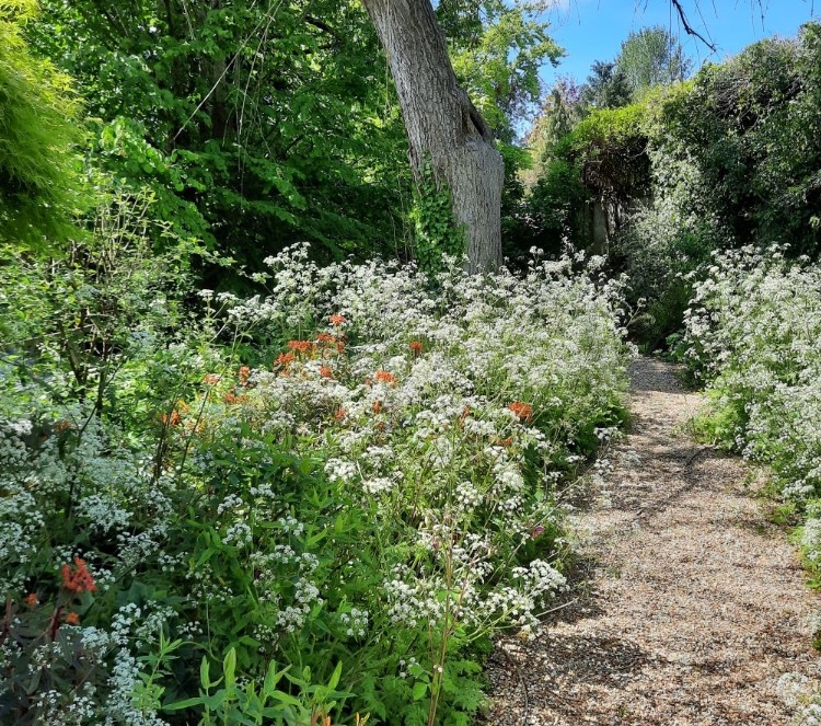 Garden Refresh